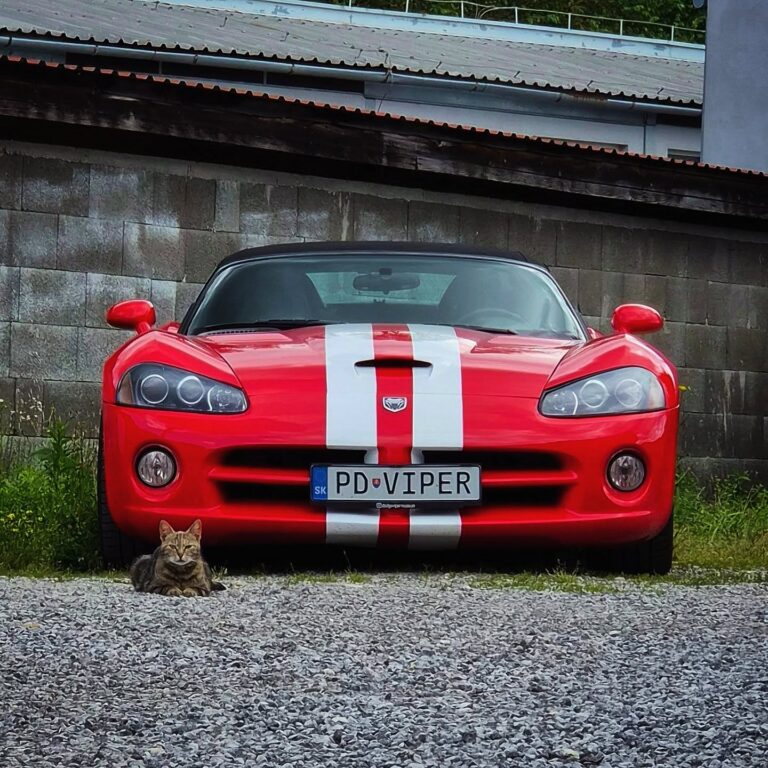 Dodge Viper SRT10 - fotka 7