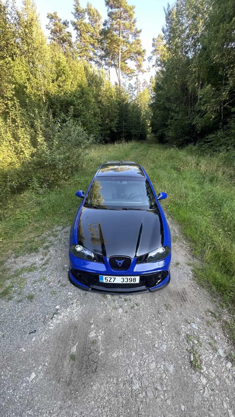 Seat Ibiza 6L - fotka 8