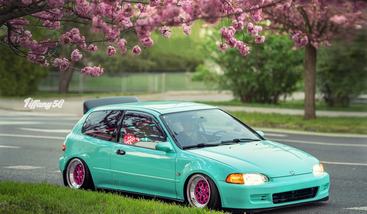 ff-aeca00b369b266921e3391fab4fef5e2-ff-Hlavna-foto-Tiffany