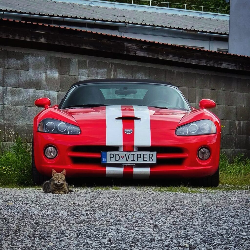 Dodge Viper SRT10